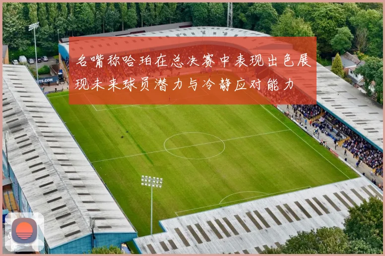 名嘴称哈珀在总决赛中表现出色展现未来球员潜力与冷静应对能力
